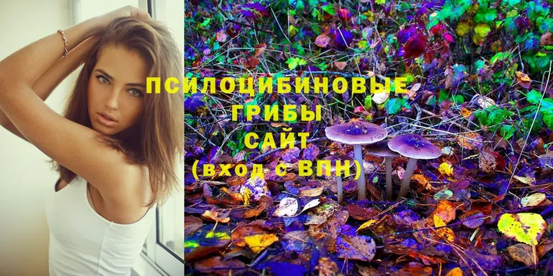 купить закладку  Ханты-Мансийск  Галлюциногенные грибы MAGIC MUSHROOMS 